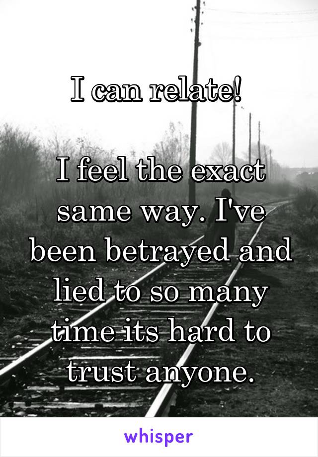 I can relate! 

I feel the exact same way. I've been betrayed and lied to so many time its hard to trust anyone.