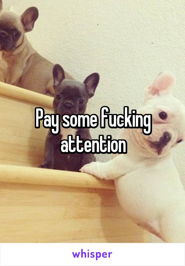Pay some fucking attention