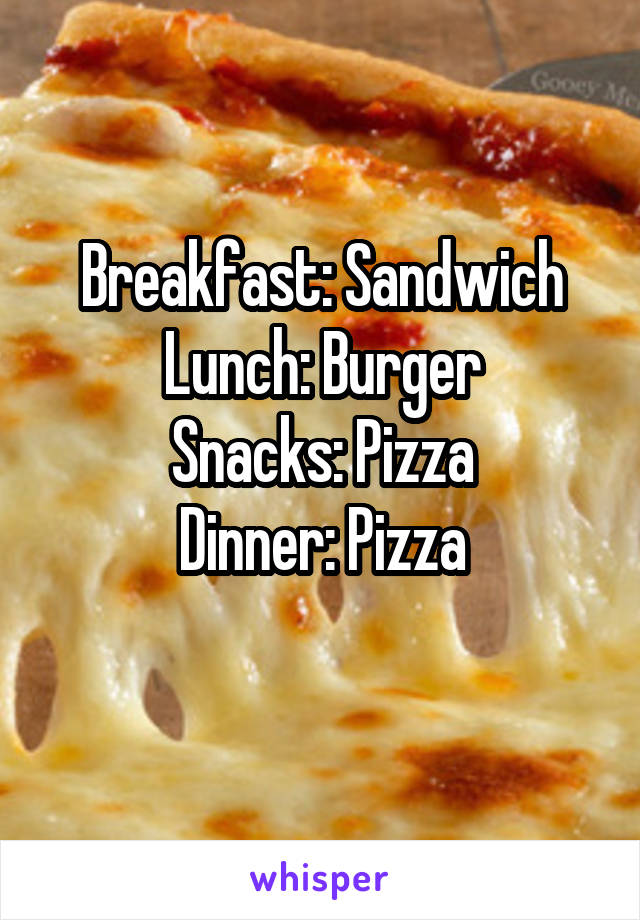 Breakfast: Sandwich
Lunch: Burger
Snacks: Pizza
Dinner: Pizza

