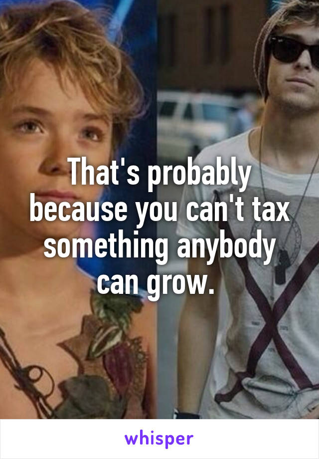That's probably because you can't tax something anybody can grow. 