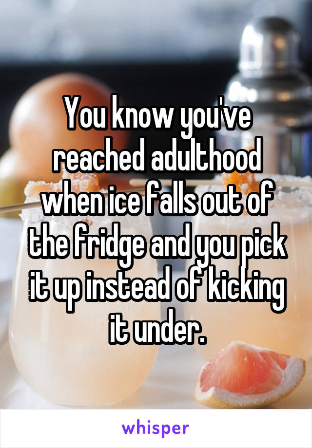 You know you've reached adulthood when ice falls out of the fridge and you pick it up instead of kicking it under.