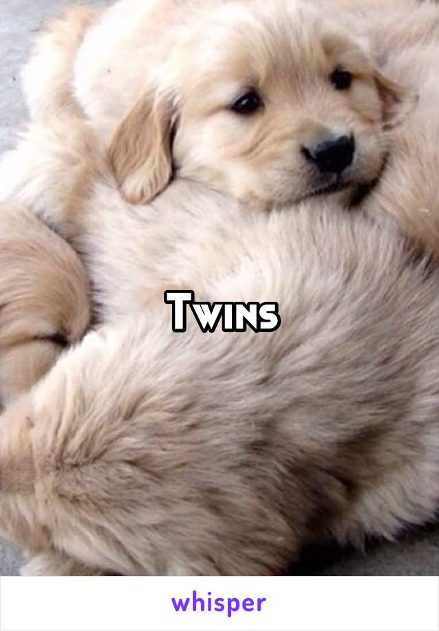 Twins