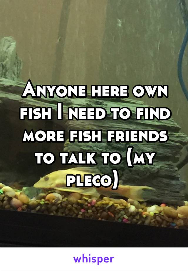 Anyone here own fish I need to find more fish friends to talk to (my pleco) 