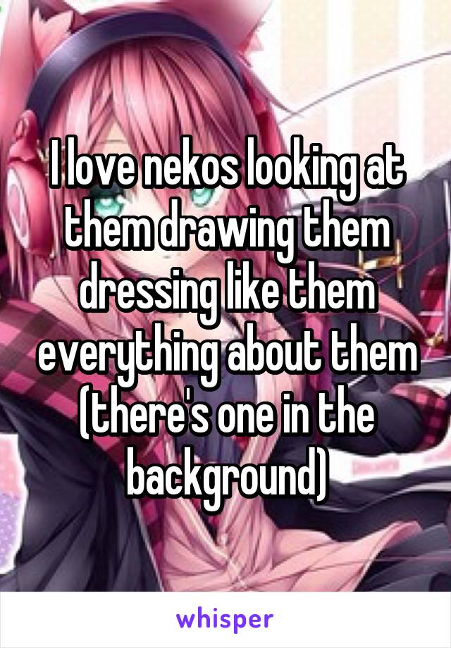 I love nekos looking at them drawing them dressing like them everything about them (there's one in the background)