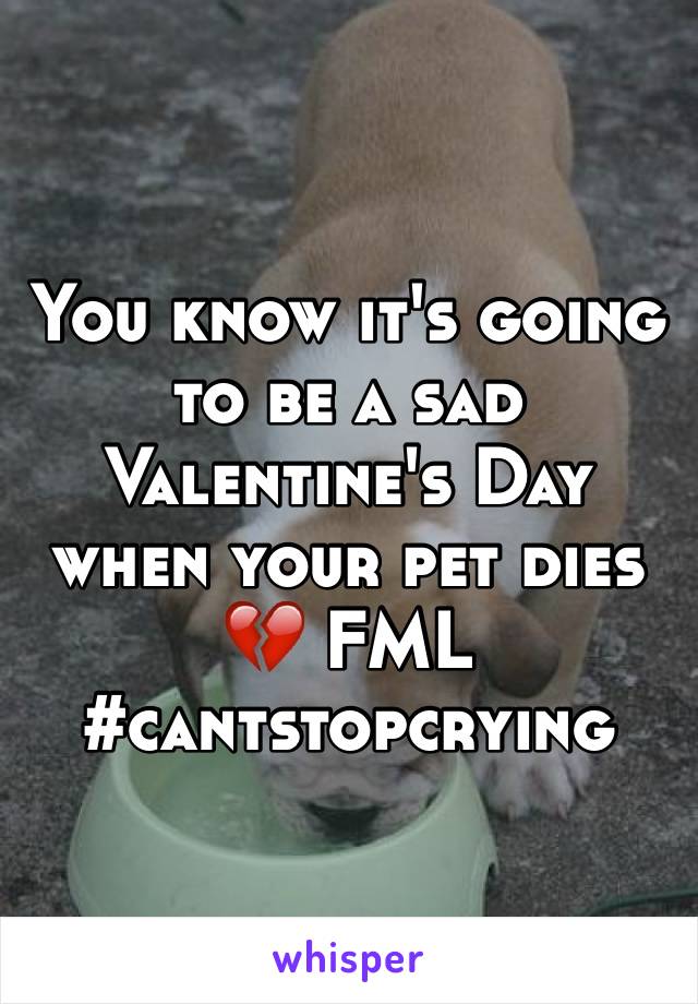 You know it's going to be a sad Valentine's Day when your pet dies 💔 FML
#cantstopcrying