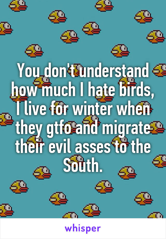 You don't understand how much I hate birds, I live for winter when they gtfo and migrate their evil asses to the South.
