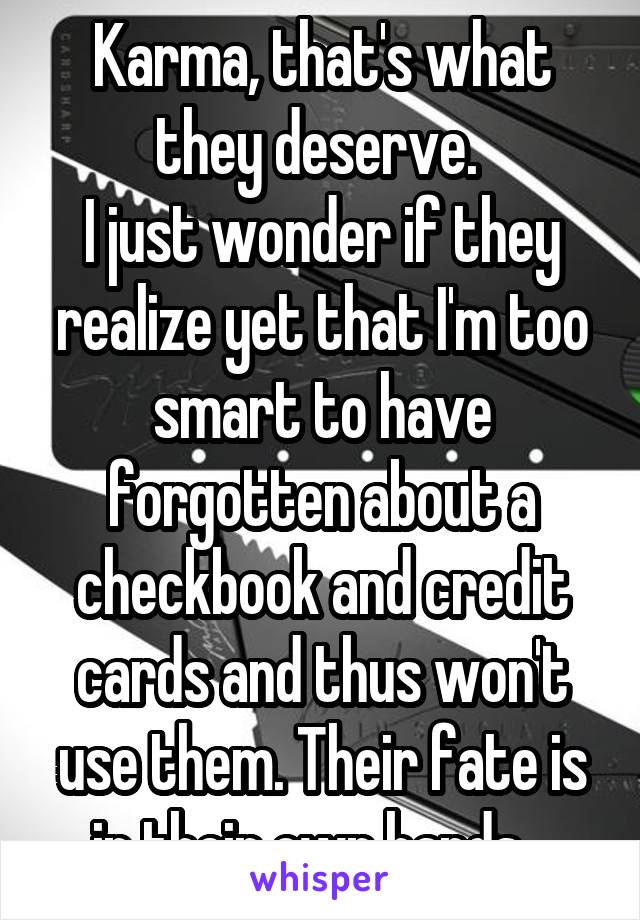 Karma, that's what they deserve. 
I just wonder if they realize yet that I'm too smart to have forgotten about a checkbook and credit cards and thus won't use them. Their fate is in their own hands...