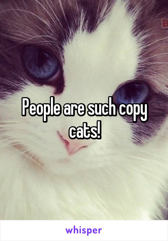 People are such copy cats!
