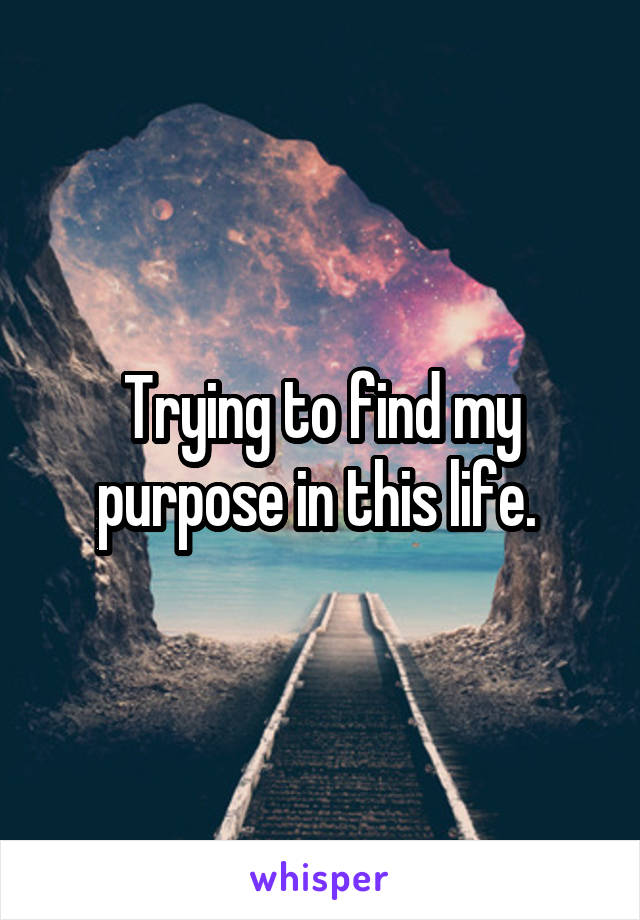Trying to find my purpose in this life. 