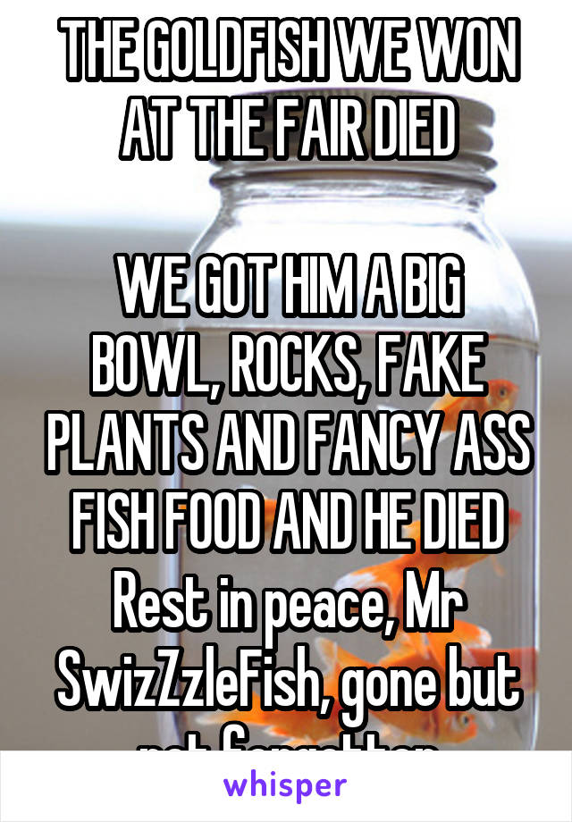 THE GOLDFISH WE WON AT THE FAIR DIED

WE GOT HIM A BIG BOWL, ROCKS, FAKE PLANTS AND FANCY ASS FISH FOOD AND HE DIED
Rest in peace, Mr SwizZzleFish, gone but not forgotten