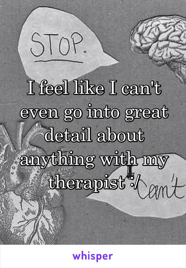 I feel like I can't even go into great detail about anything with my therapist :/