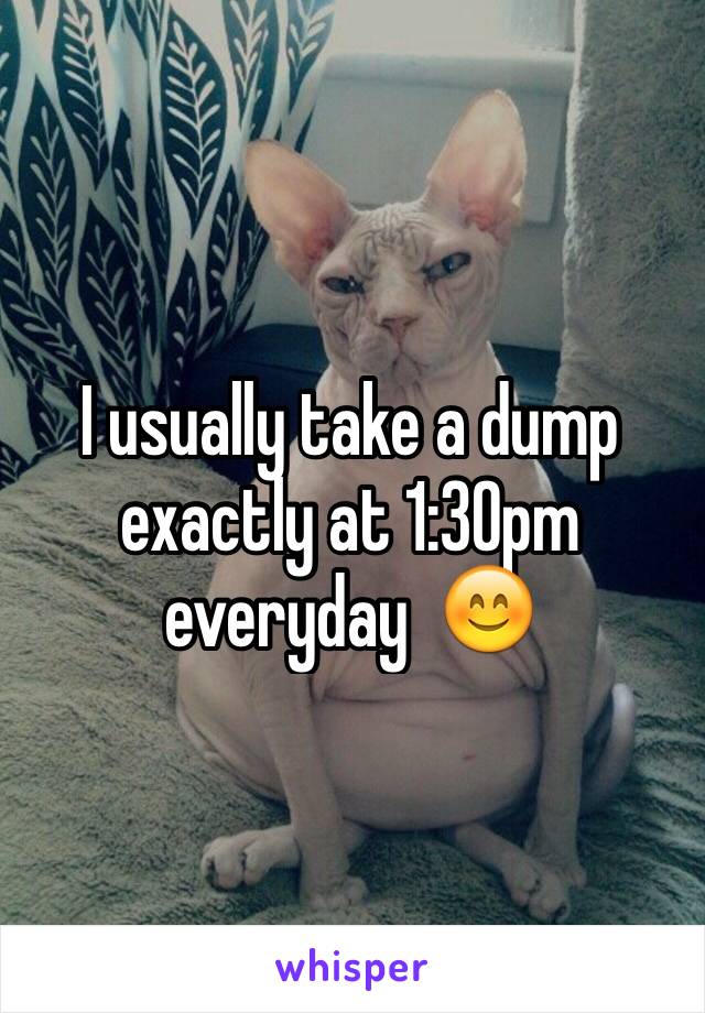 I usually take a dump exactly at 1:30pm everyday  😊