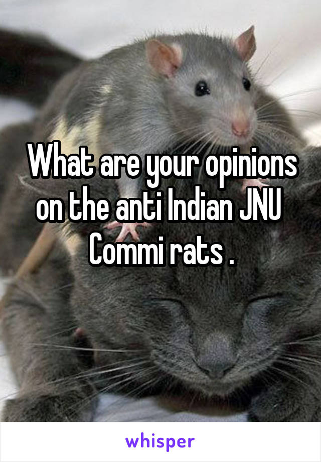 What are your opinions on the anti Indian JNU 
Commi rats .
