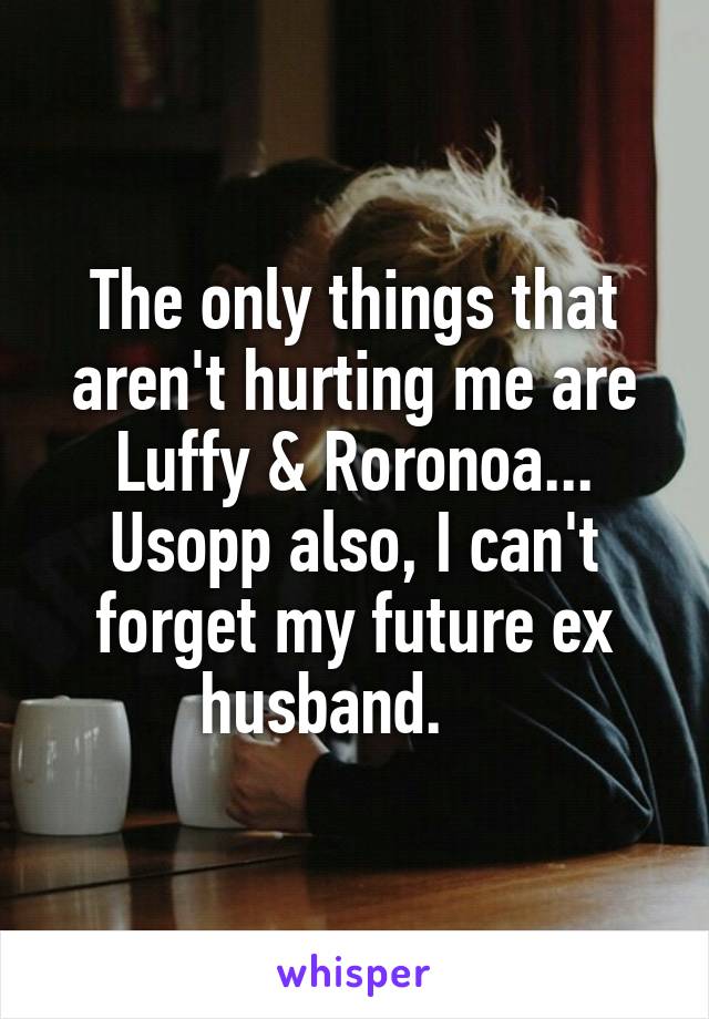 The only things that aren't hurting me are Luffy & Roronoa...
Usopp also, I can't forget my future ex husband.    