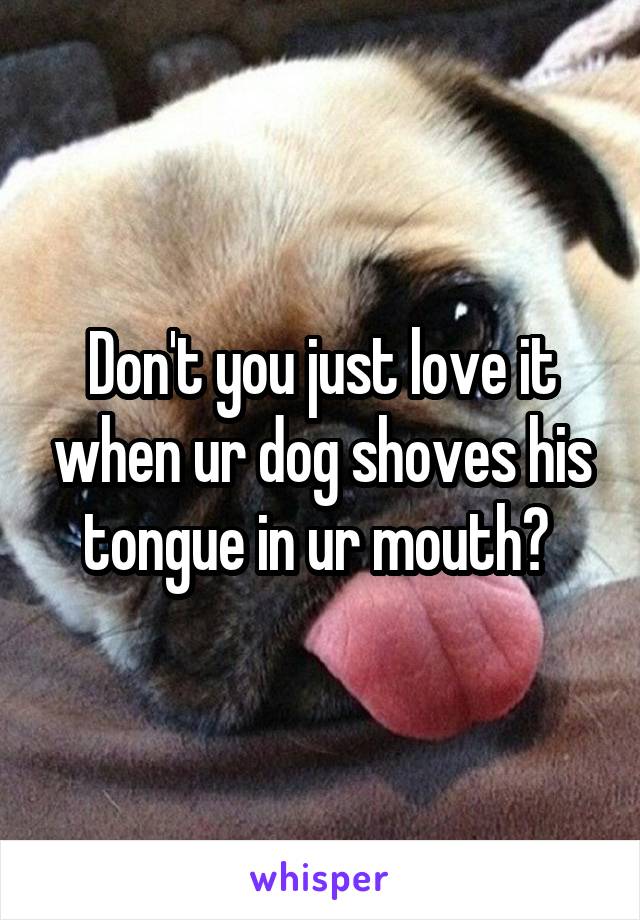 Don't you just love it when ur dog shoves his tongue in ur mouth? 