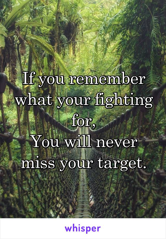 If you remember what your fighting for,
You will never miss your target.