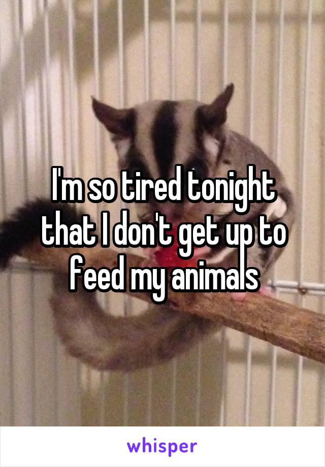 I'm so tired tonight that I don't get up to feed my animals