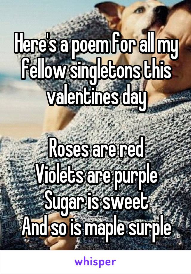 Here's a poem for all my fellow singletons this valentines day

Roses are red
Violets are purple
Sugar is sweet
And so is maple surple