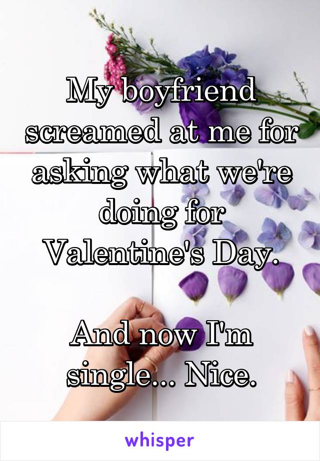 My boyfriend screamed at me for asking what we're doing for Valentine's Day.

And now I'm single... Nice.