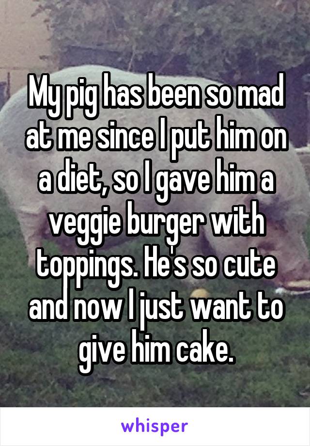 My pig has been so mad at me since I put him on a diet, so I gave him a veggie burger with toppings. He's so cute and now I just want to give him cake.