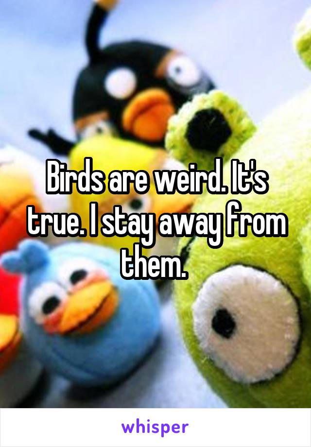 Birds are weird. It's true. I stay away from them. 