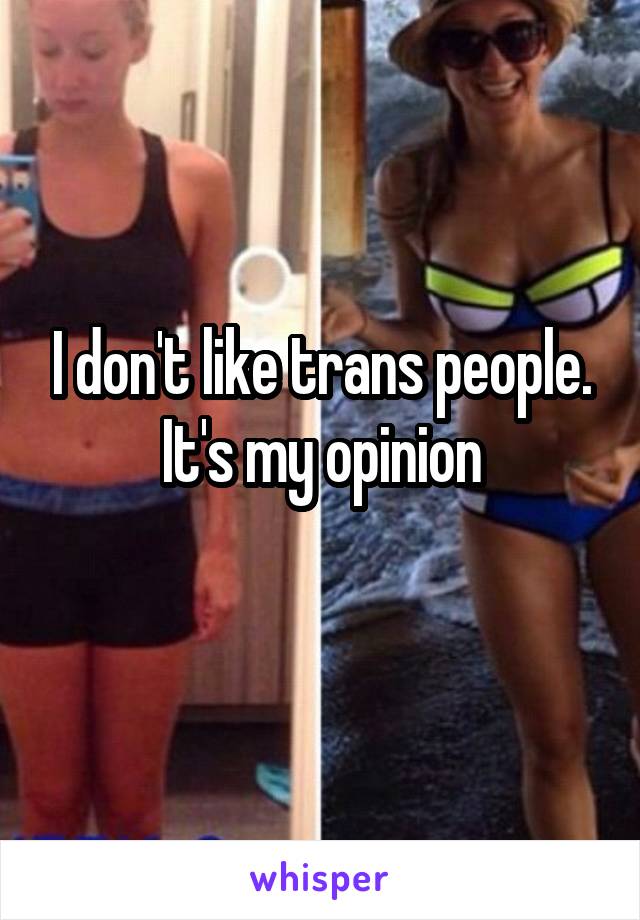 I don't like trans people. It's my opinion
