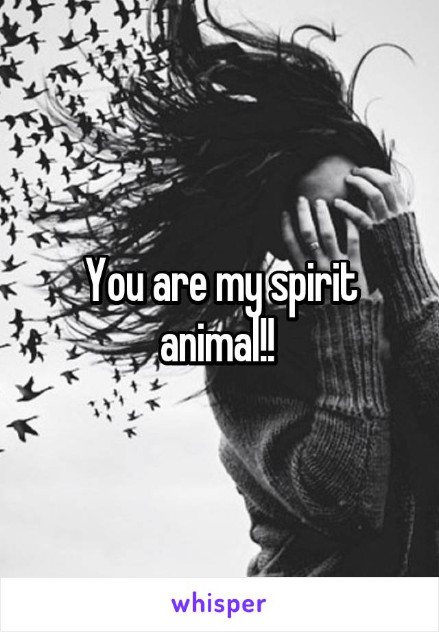 You are my spirit animal!! 