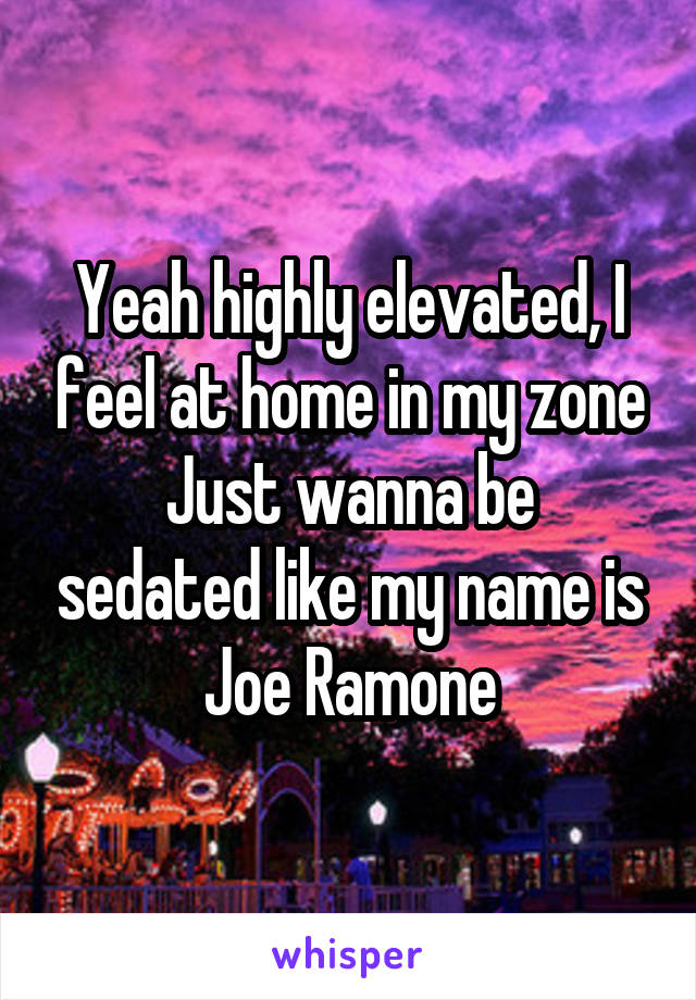 Yeah highly elevated, I feel at home in my zone
Just wanna be sedated like my name is Joe Ramone
