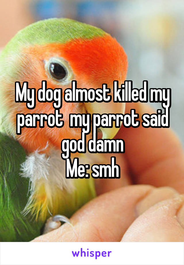 My dog almost killed my parrot  my parrot said god damn
Me: smh