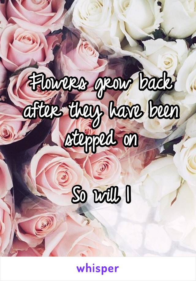 Flowers grow back after they have been stepped on

So will I