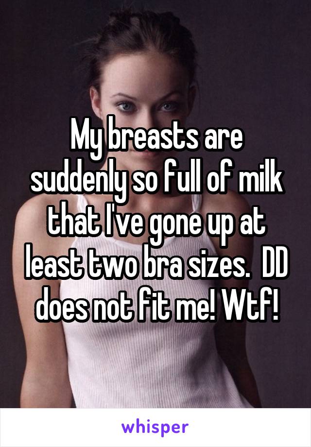 My breasts are suddenly so full of milk that I've gone up at least two bra sizes.  DD does not fit me! Wtf!