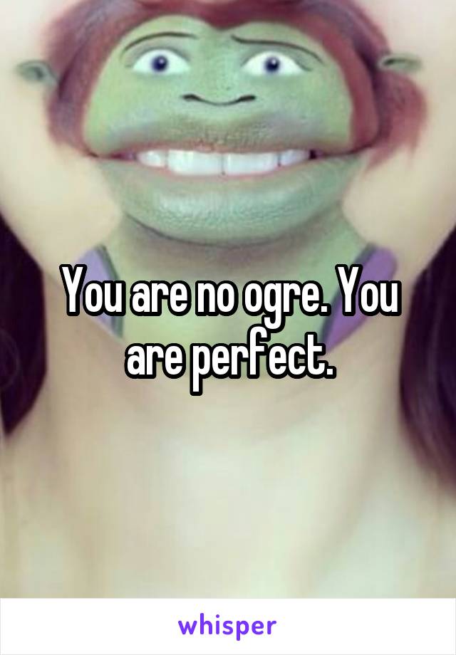 You are no ogre. You are perfect.