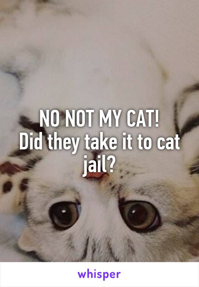 NO NOT MY CAT!
Did they take it to cat jail?