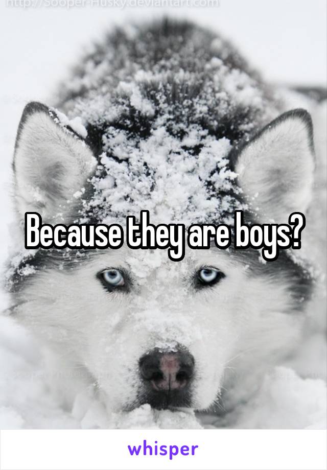 Because they are boys?