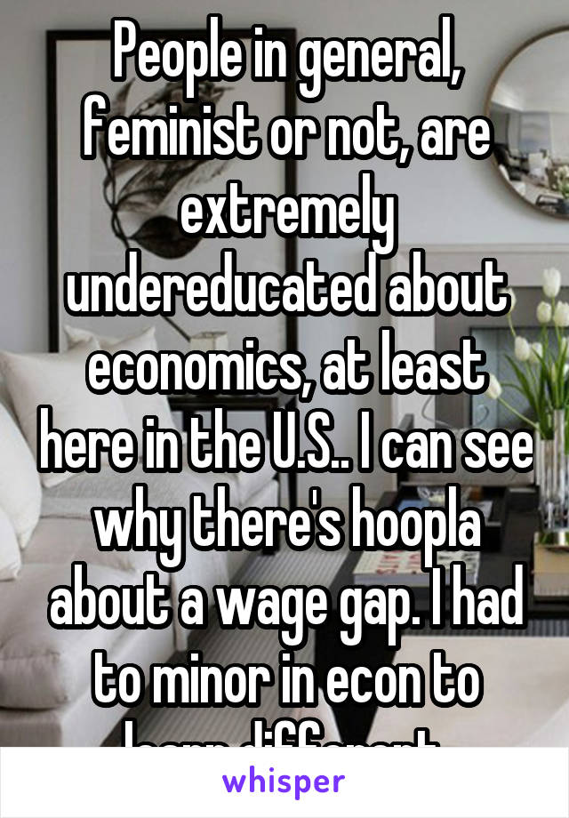 People in general, feminist or not, are extremely undereducated about economics, at least here in the U.S.. I can see why there's hoopla about a wage gap. I had to minor in econ to learn different.