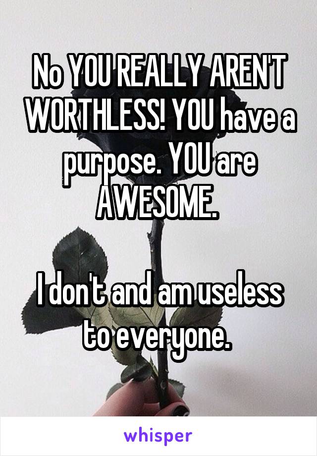 No YOU REALLY AREN'T WORTHLESS! YOU have a purpose. YOU are AWESOME. 

I don't and am useless to everyone. 
