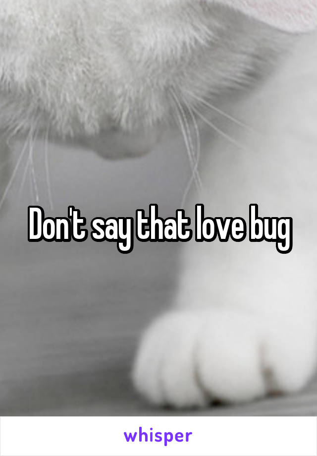 Don't say that love bug