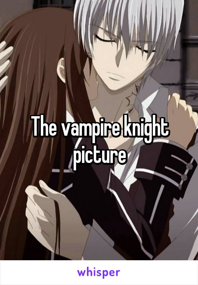The vampire knight picture
