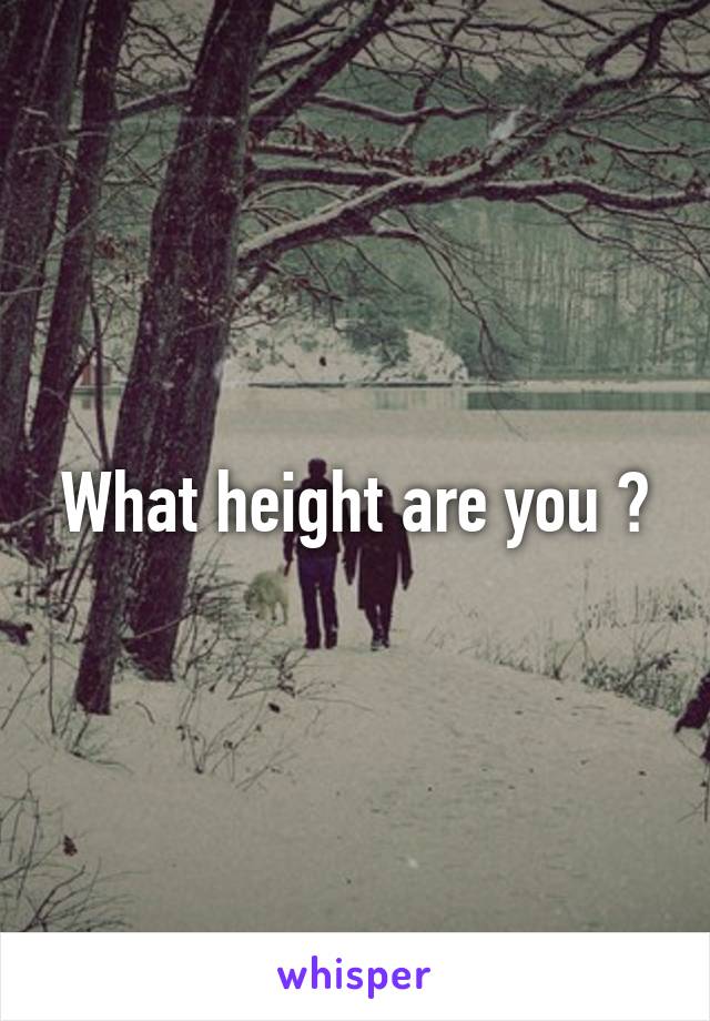 What height are you ?