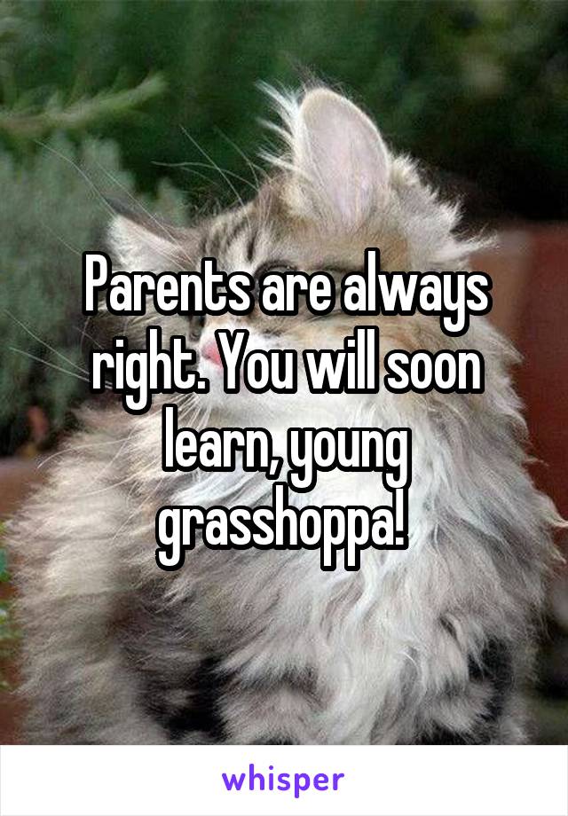 Parents are always right. You will soon learn, young grasshoppa! 