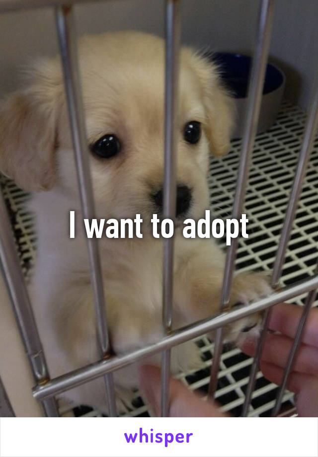 I want to adopt