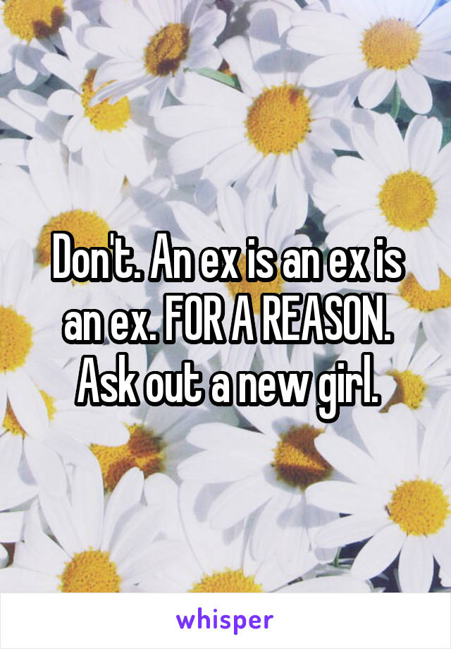 Don't. An ex is an ex is an ex. FOR A REASON. Ask out a new girl.
