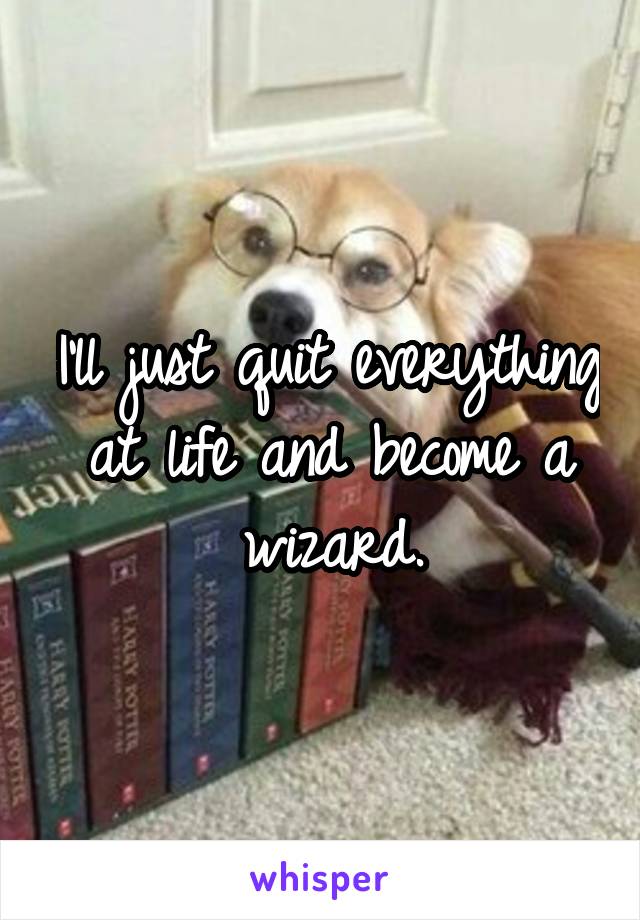 I'll just quit everything at life and become a wizard.