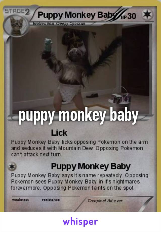 puppy monkey baby 
