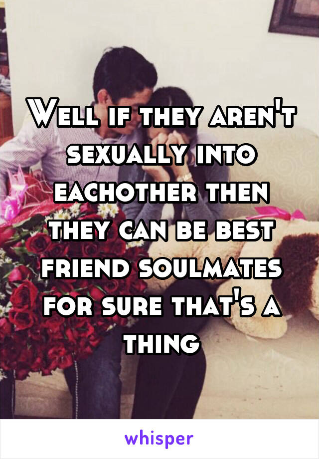 Well if they aren't sexually into eachother then they can be best friend soulmates for sure that's a thing