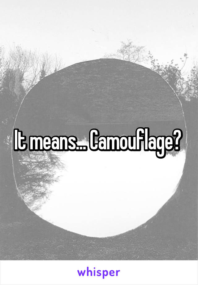 It means... Camouflage? 