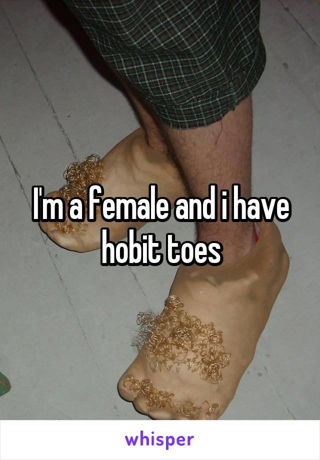 I'm a female and i have hobit toes