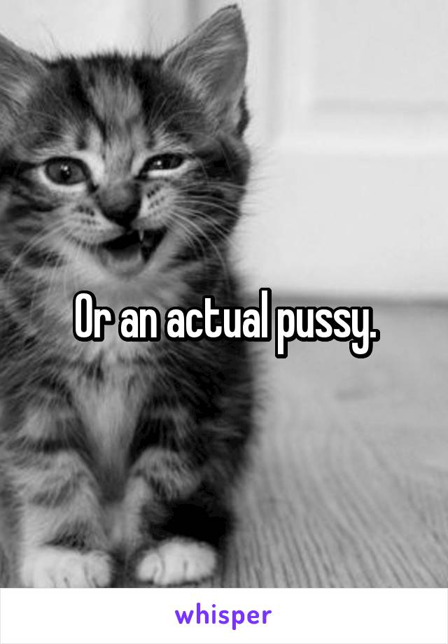 Or an actual pussy.