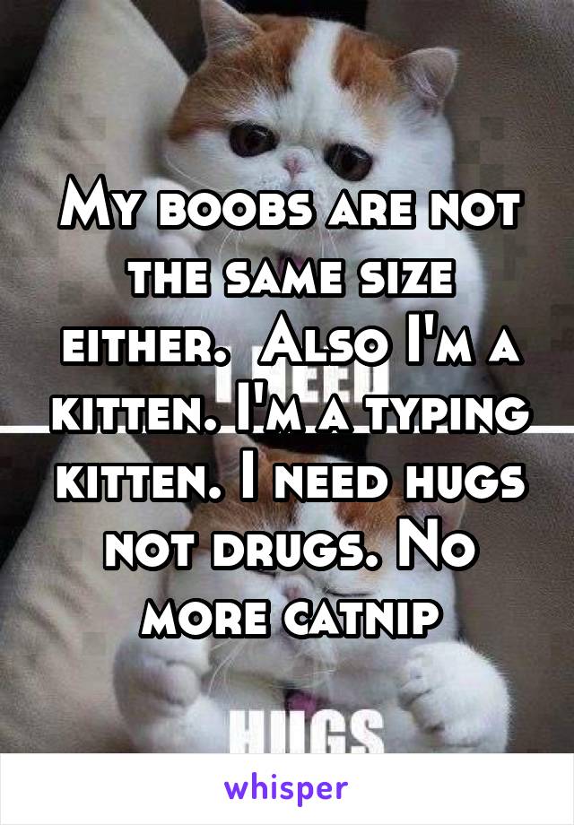 My boobs are not the same size either.  Also I'm a kitten. I'm a typing kitten. I need hugs not drugs. No more catnip