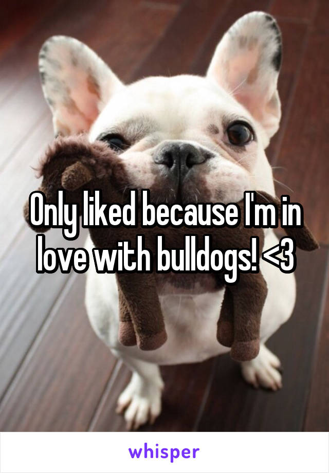 Only liked because I'm in love with bulldogs! <3